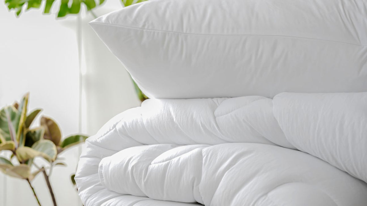 Why Bamboo is the Best Bedding Fibre? Manchester Warehouse