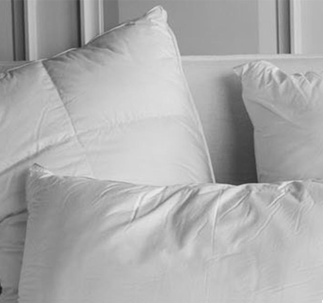 Shop the Best Pillows Australia Manchester Warehouse