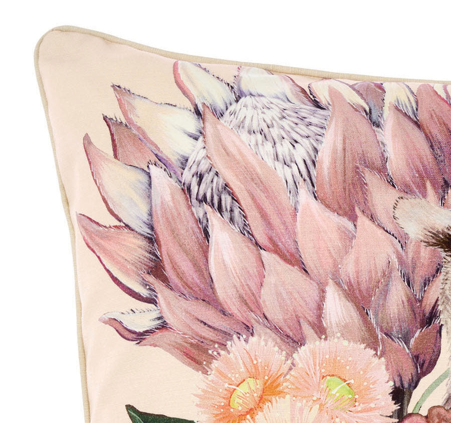Sugar Glider 48x48cm Filled Cushion Seashell Manchester Warehouse