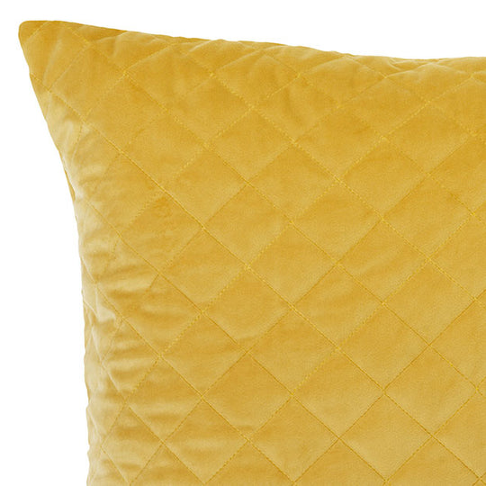 Vivid Coordinates Velvet European Pillowcase Gold