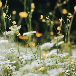 Change of Season: Invest in Comfort