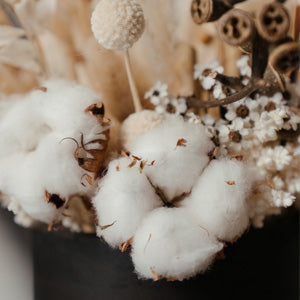 Making Your Home Sustainable