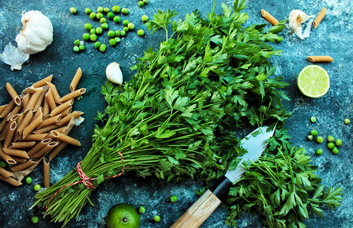 2 Cold Pasta Recipes to Stay Refreshed in Spring