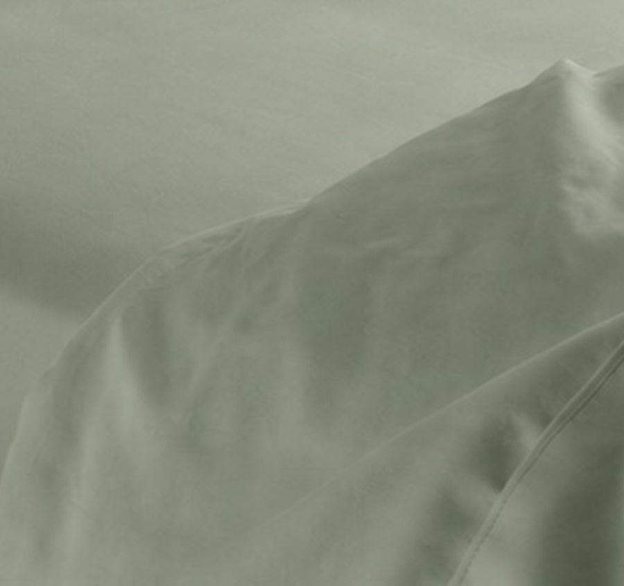Alba Cotton Rich Sheet Set Range Eucalyptus