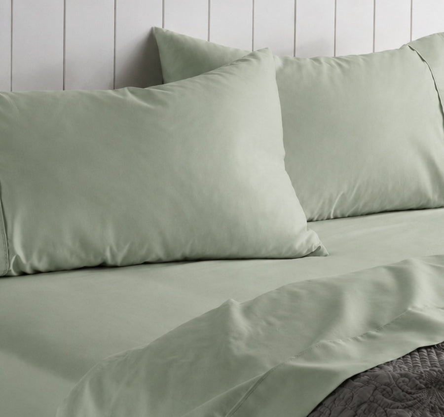 Alba Cotton Rich Sheet Set Range Eucalyptus