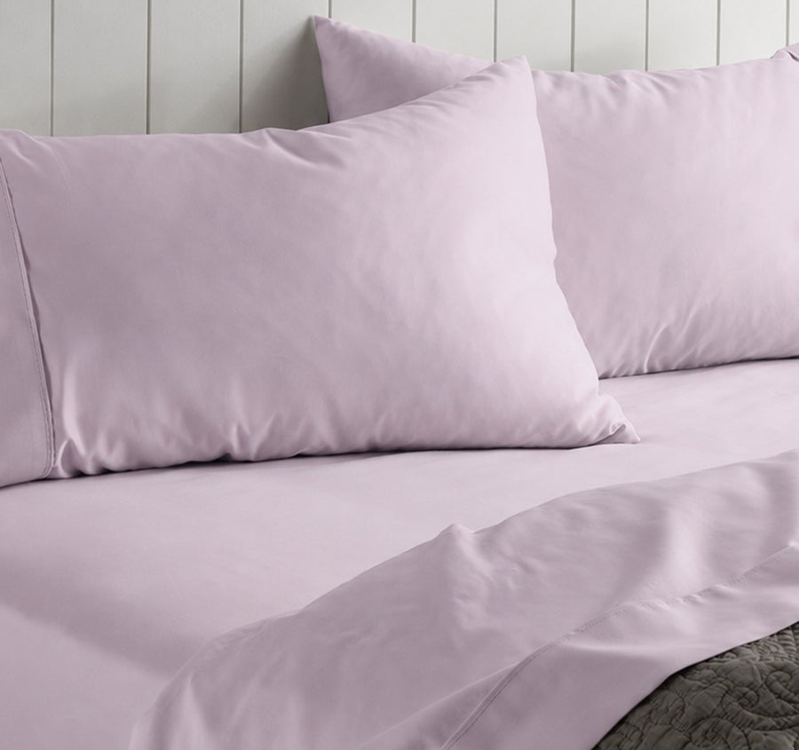 Alba Cotton Rich Sheet Set Range Lilac