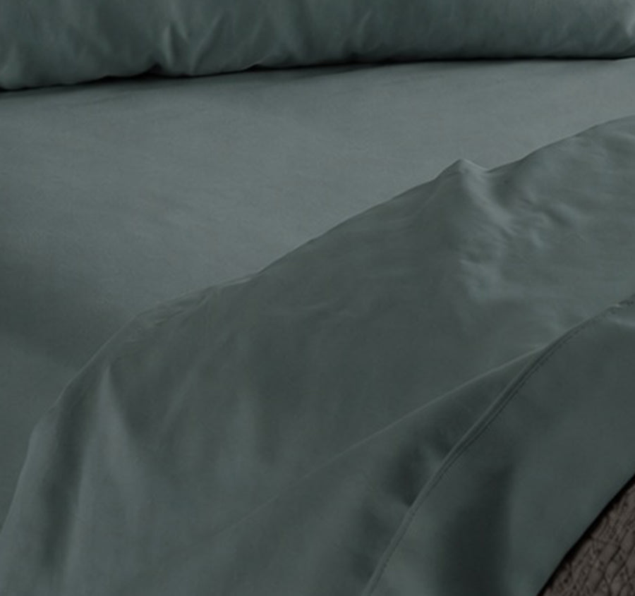 Alba Cotton Rich Sheet Set Range Teal