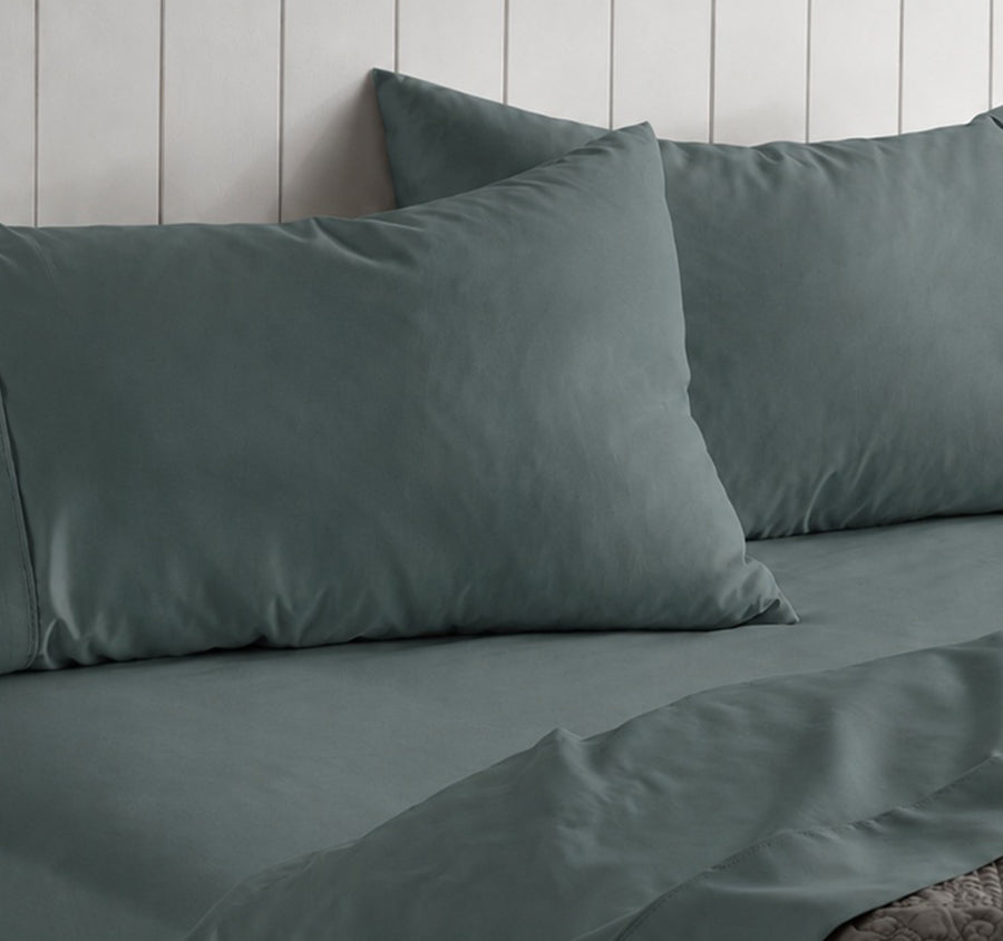 Alba Cotton Rich Sheet Set Range Teal
