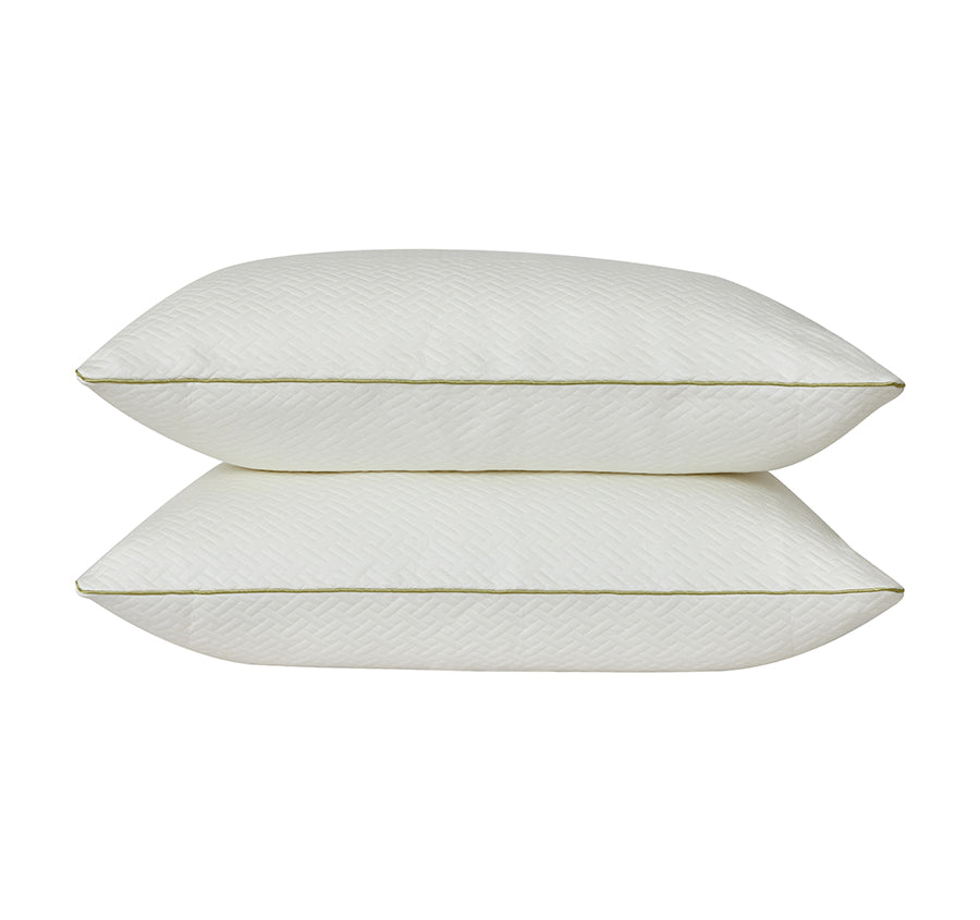 Bamboo Blend 2 Pack Standard Pillow Protector