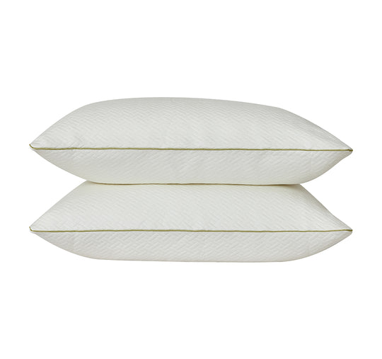 Bamboo Blend 2 Pack Standard Pillow Protector