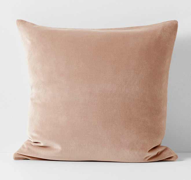 Luxury Velvet 50x50cm Filled Cushion Rosewater