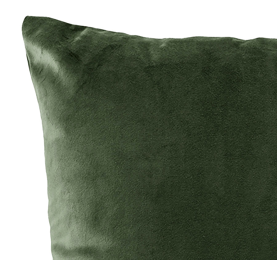 Vivid Coordinates Velvet 43x43cm Filled Cushion Forest Green