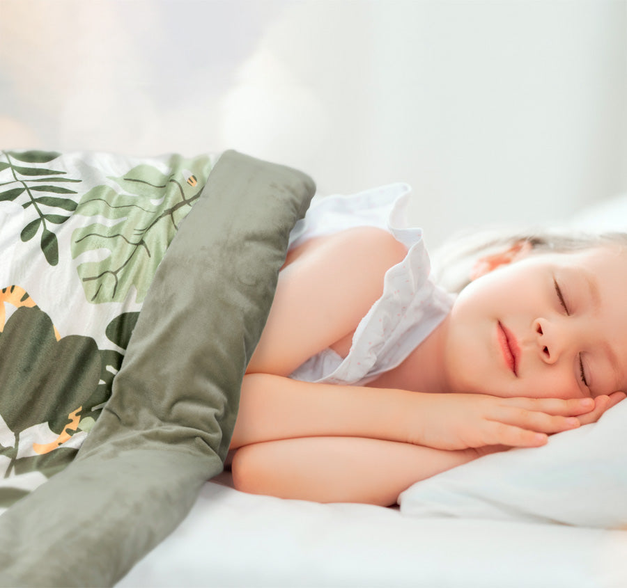 George Weighted Blanket Multi