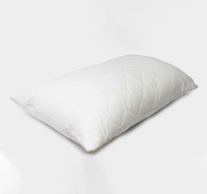 Heavenly Dreams Standard Zip Pillow Protector