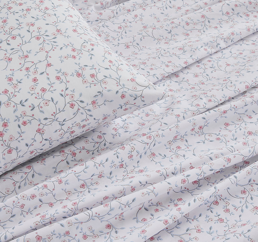 Blencow 300TC Cotton Sheet Set Range Duck Egg