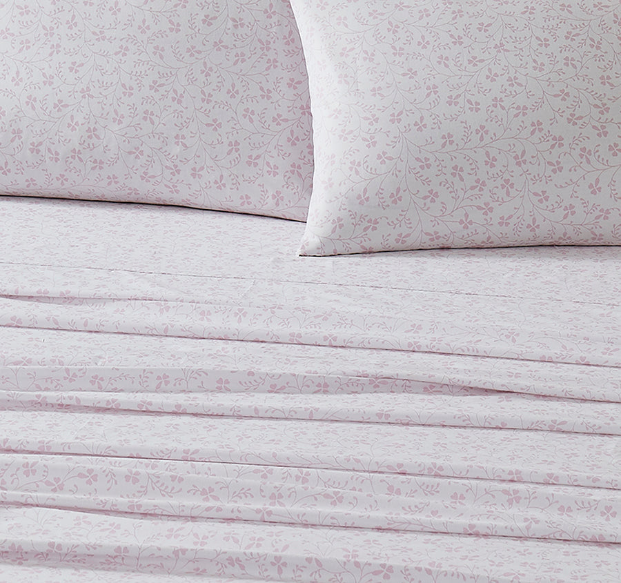 Campion 250TC Cotton Percale Sheet Set Range Pink