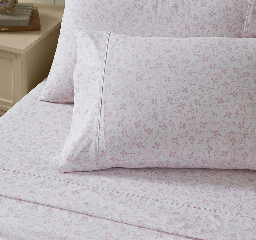 Campion 250TC Cotton Percale Sheet Set Range Pink