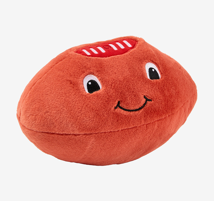 Novelty Filled Cushion Frankie Footy