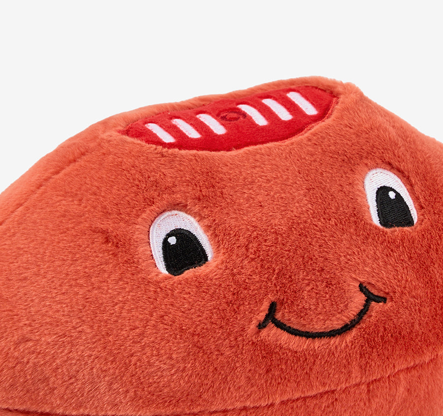 Novelty Filled Cushion Frankie Footy