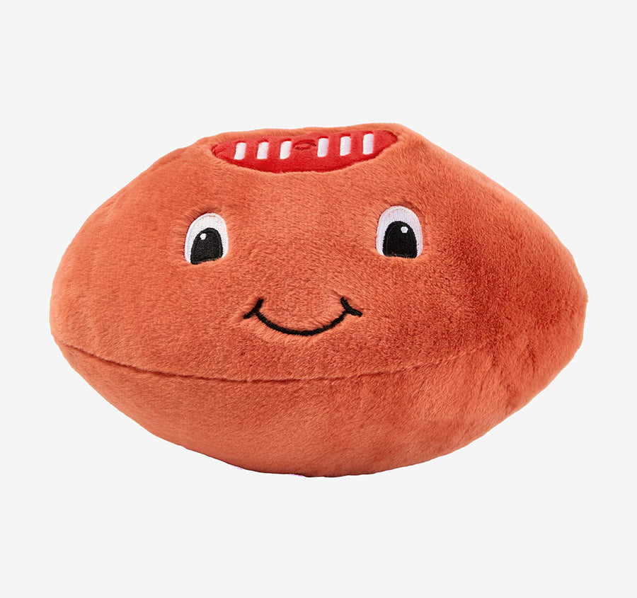 Novelty Filled Cushion Frankie Footy