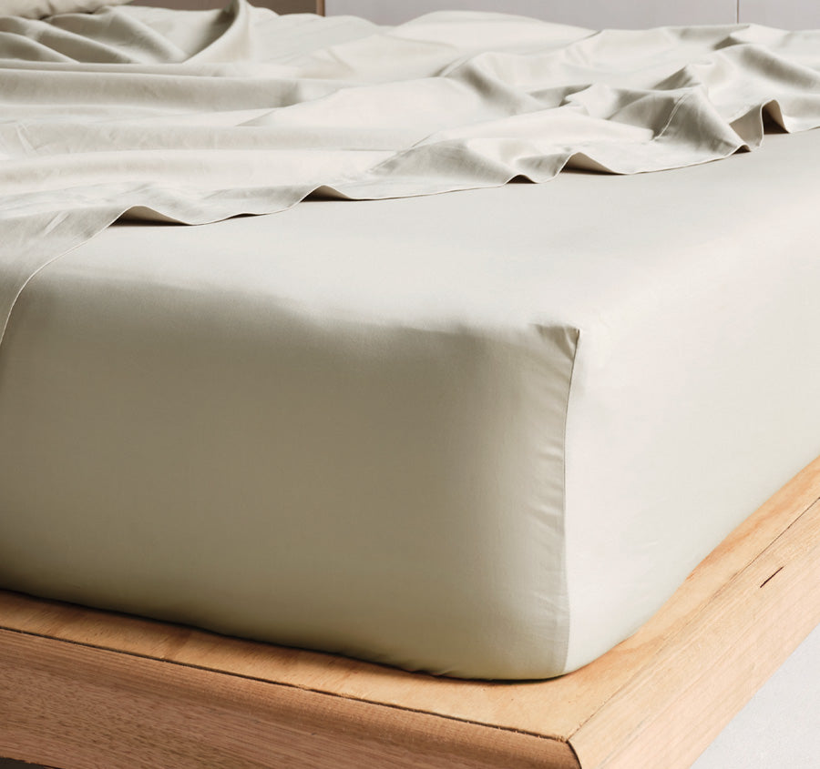 Hotel Augusta 500THC Cotton Sateen Mega Sheet Set Range Taupe