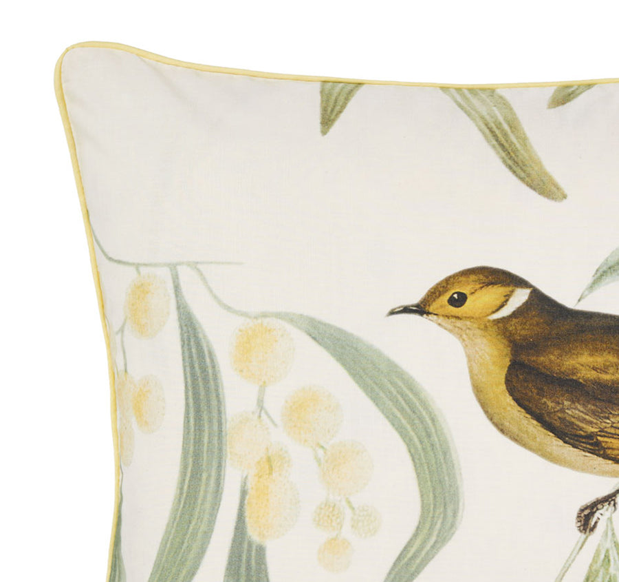 Eppalock 48x48cm Filled Cushion Seafoam