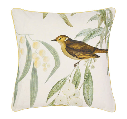 Eppalock 48x48cm Filled Cushion Seafoam