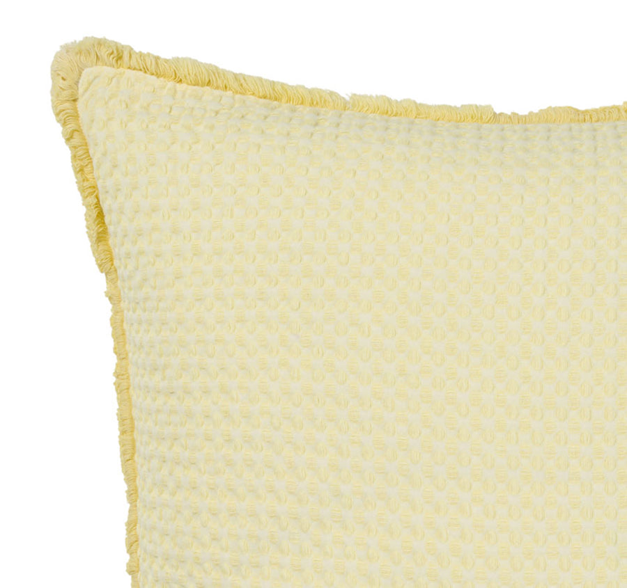 Saltwater 45x45cm Filled Cushion Butter