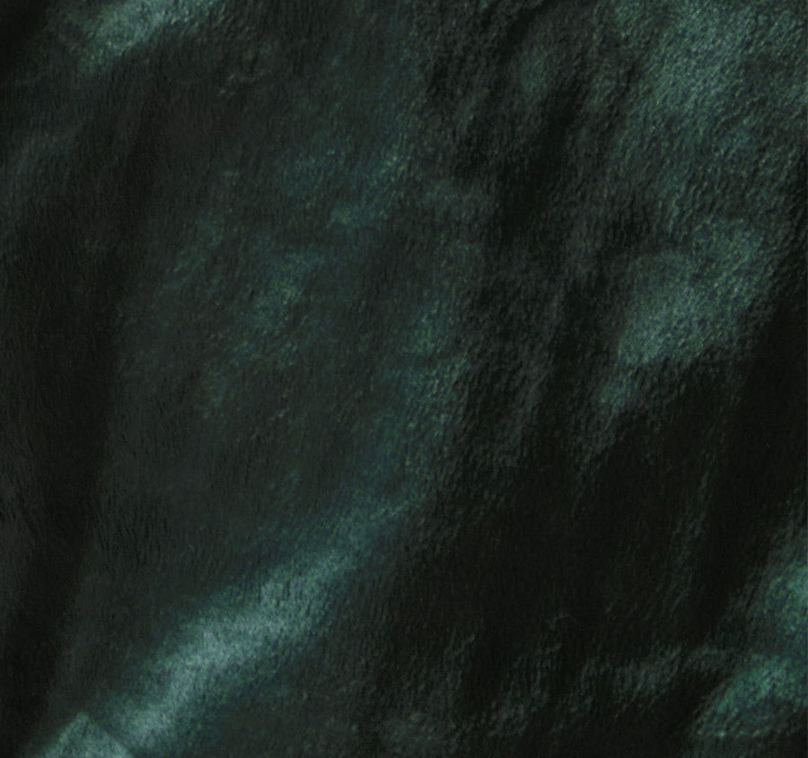 Sena Blanket Range Forest