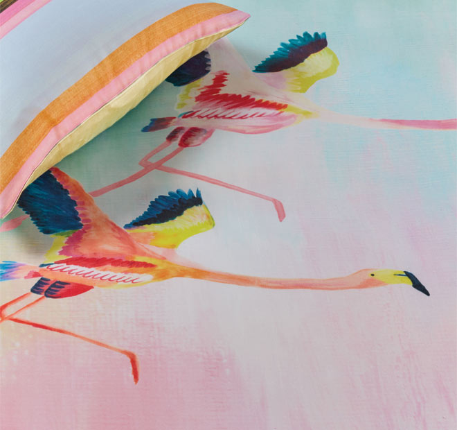 Colourful Birds Quilt Cover Set Range