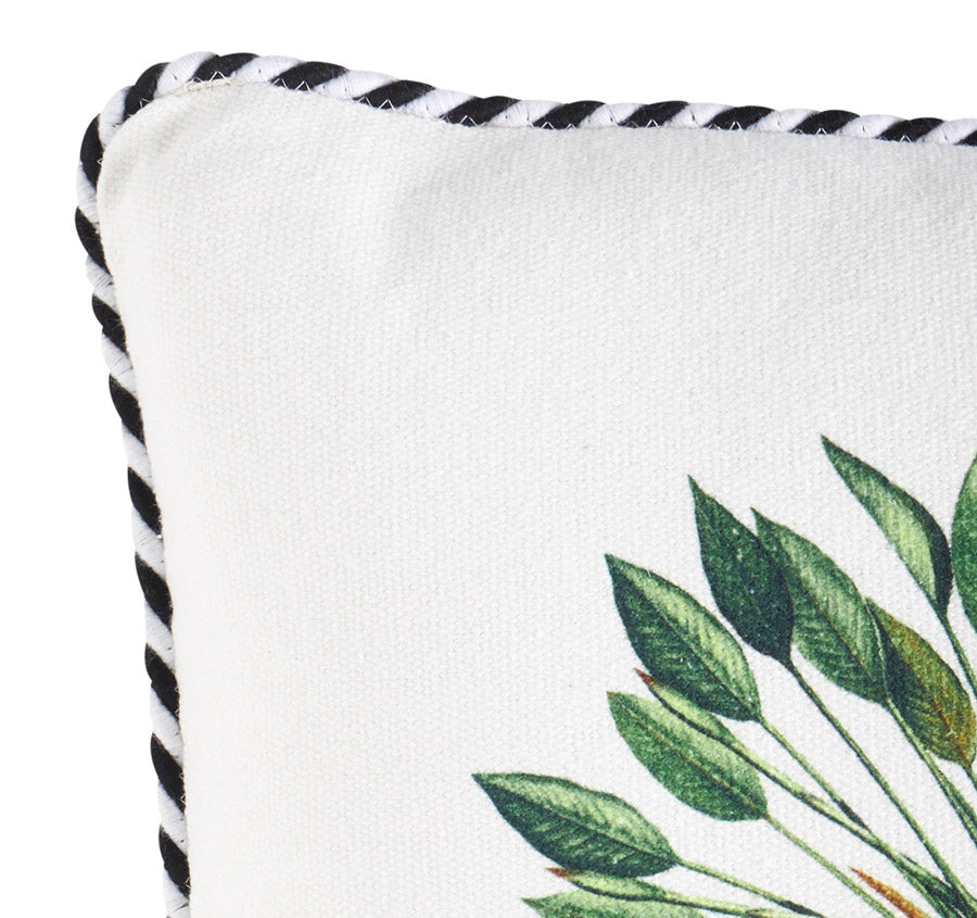 Royal Bahama 50x50cm Filled Cushion Green