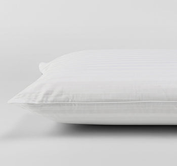 Luxurious Latex Classic Medium Profile Standard Pillow