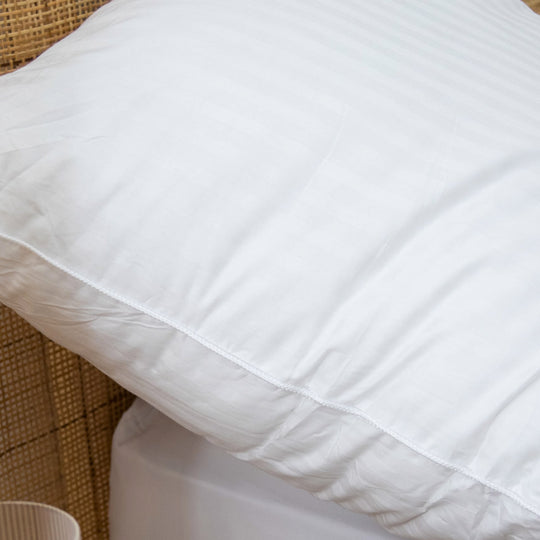 Luxury 1000g European Pillow