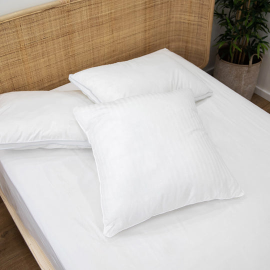 Luxury 1000g European Pillow