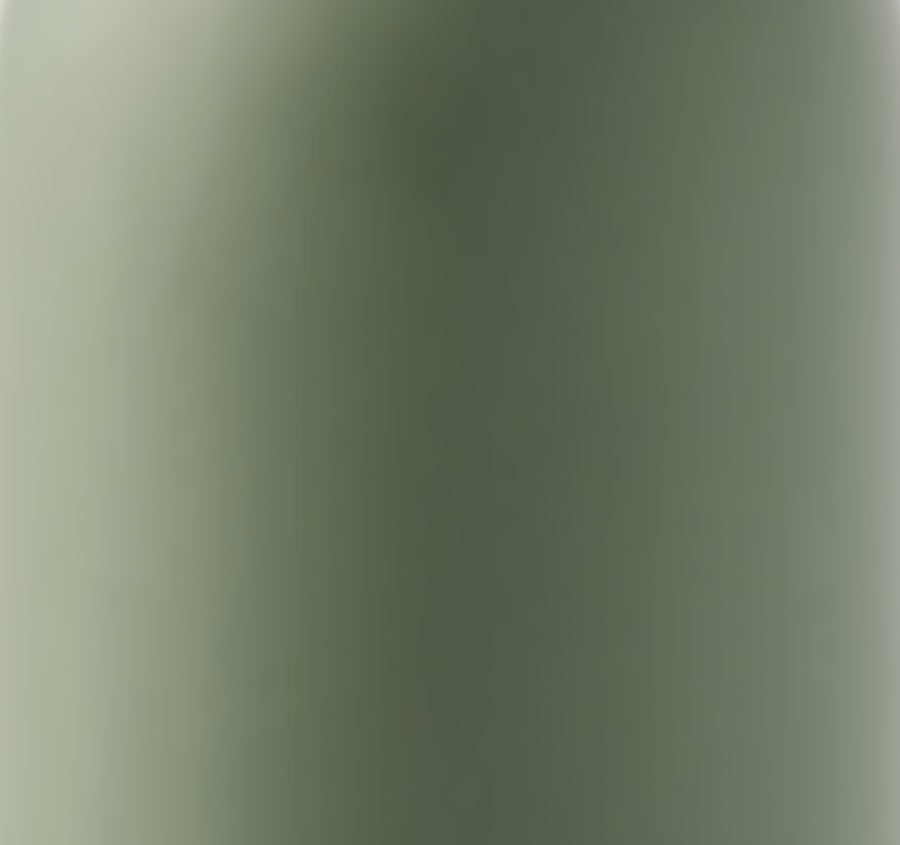 Seaspray Soap Dispenser Olive