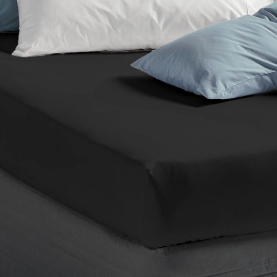 Vienna 300THC Cotton Fitted Sheet Range Charcoal