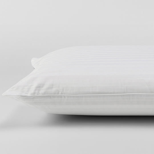 Luxurious Latex Classic Medium Profile Standard Pillow