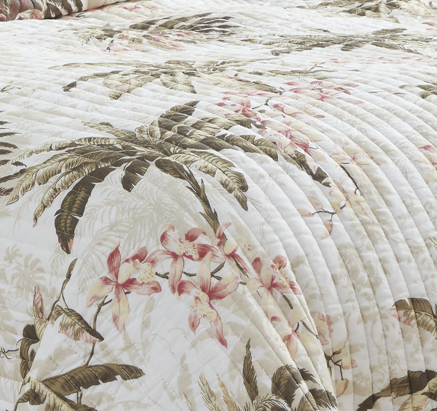 Bonny Cove Coverlet Set Coconut