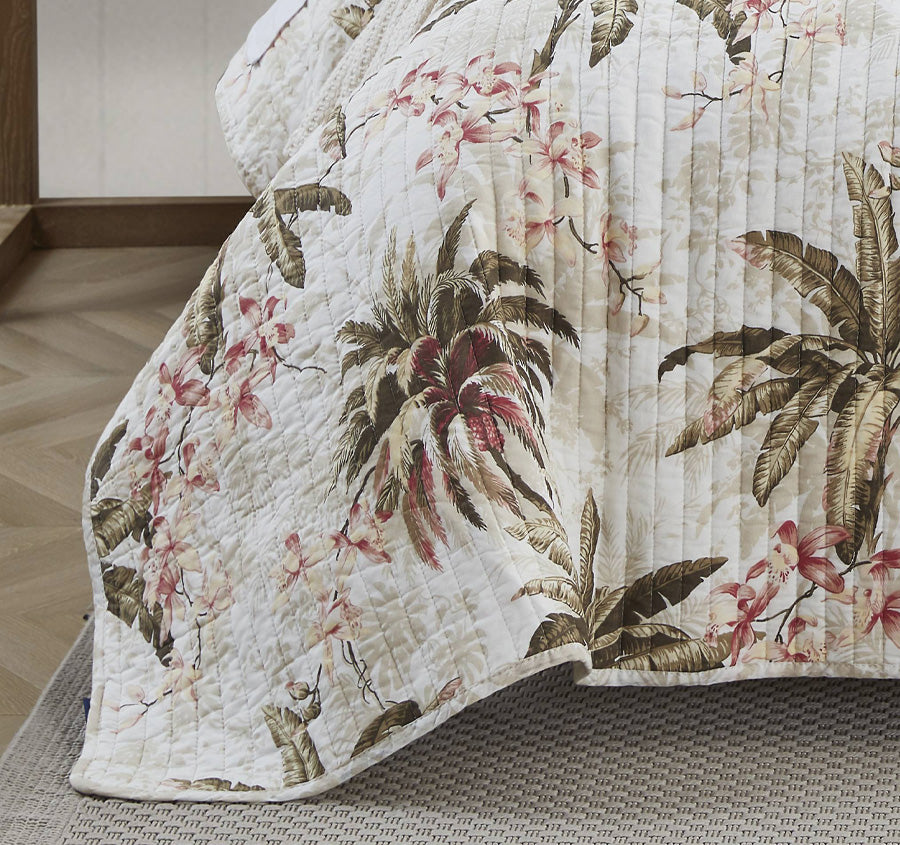 Bonny Cove Coverlet Set Coconut